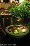 Dusit Thani Laguna Phuket Resort 